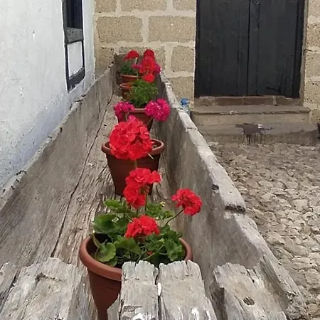 Casa El Drago De Arico Casa de Férias