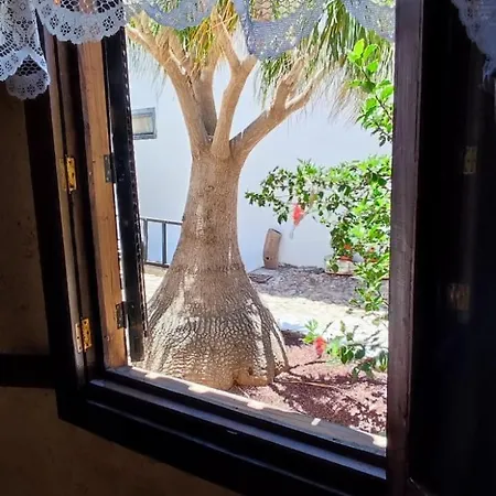 Casa El Drago De Arico Casa de Férias *