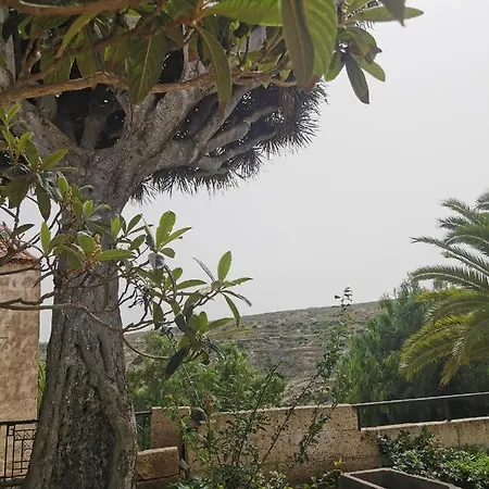 Casa El Drago De Arico Casa de Férias